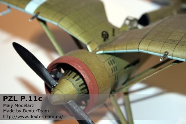 PZL P.11c
