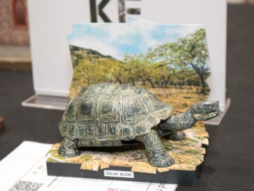 O 20240601 49928 web