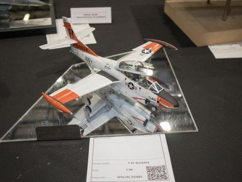 O 20240601 50200 web