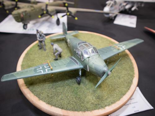 O 20240601 50329 web