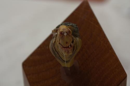 O 20091024 14537 wynik