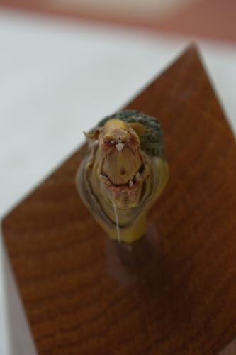 O 20091024 14539 wynik