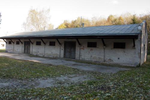 O 20101023 12907 wynik