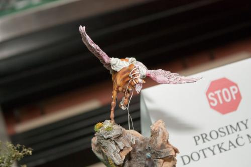 O 20101024 13205 wynik