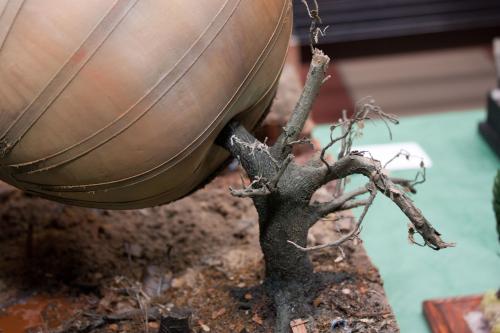 O 20101024 13233 wynik