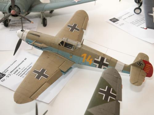 O 20240224 49810 web