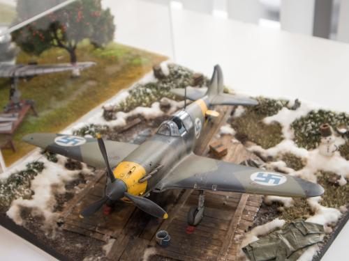 O 20240224 49824 web