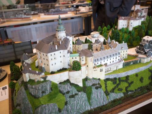 O 20240225 49827 web