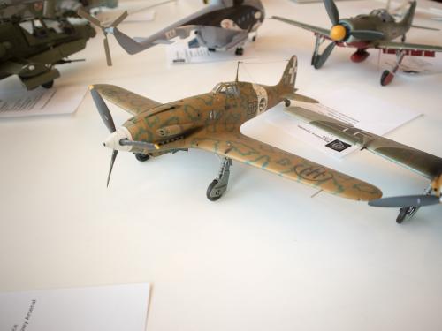 O 20240225 49847 web