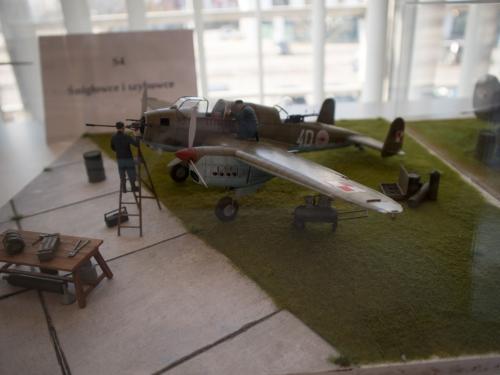 O 20240225 49851 web